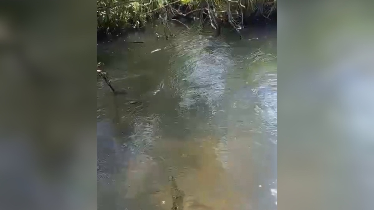    220 млн рублей на ремонт водопровода в Железногорске выделит Правительство Курской области