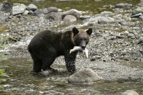 Фото из общедоступных ресурсов сети Интернет