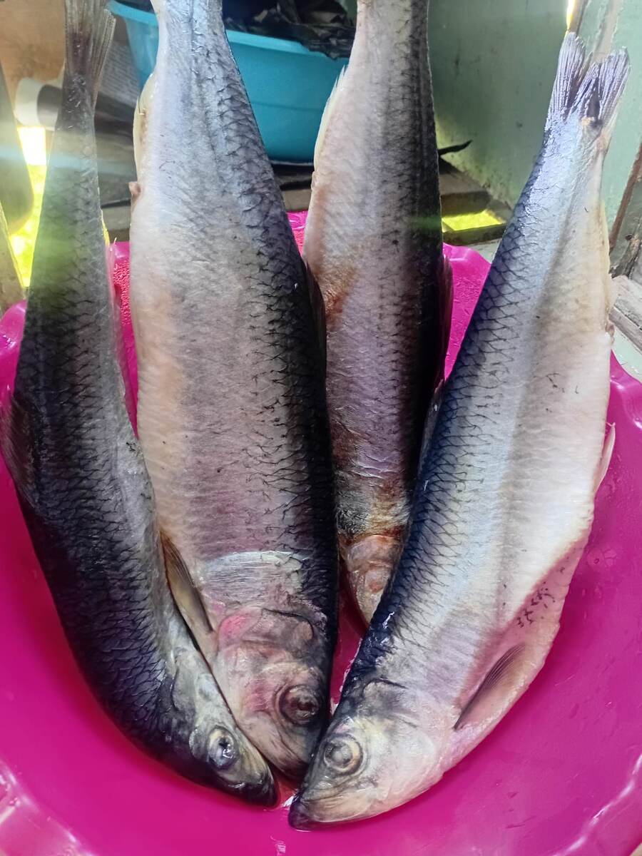 Вот они, красавицы! Фото подруги. 