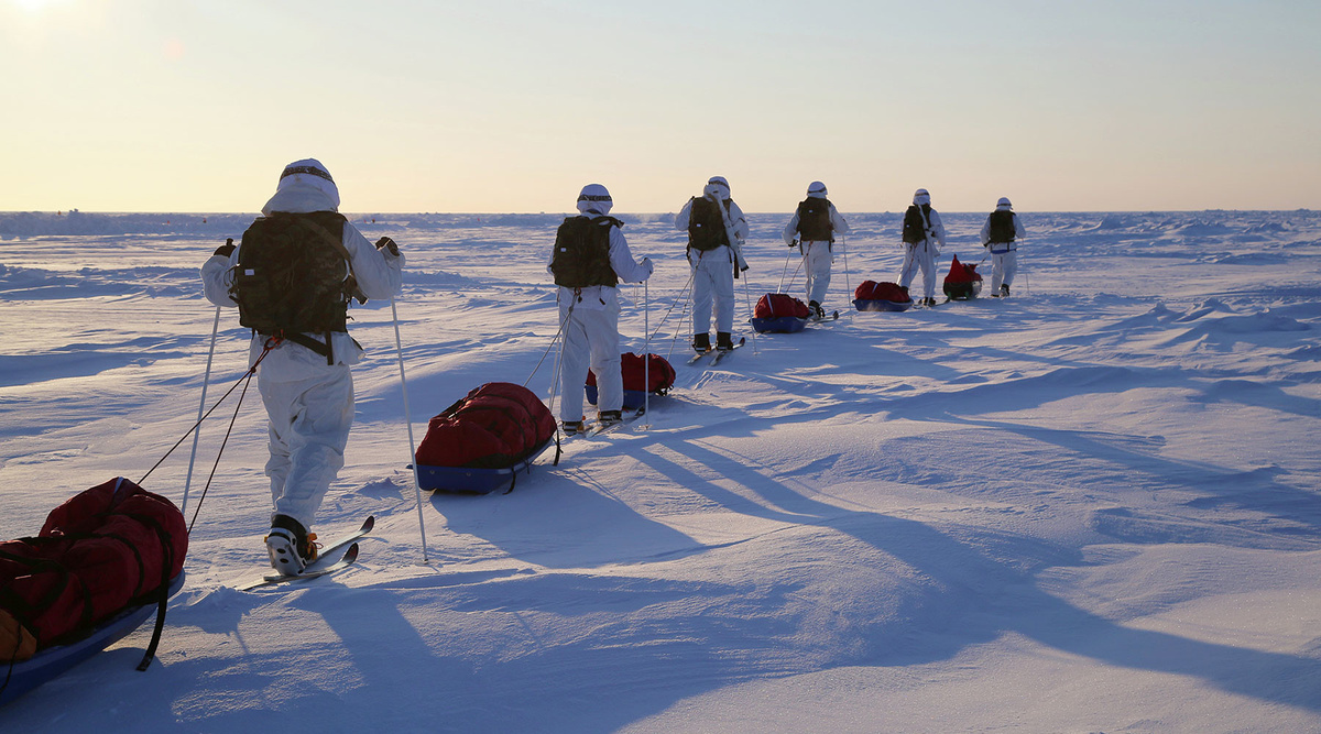 Фото взято на Goarctic.ru