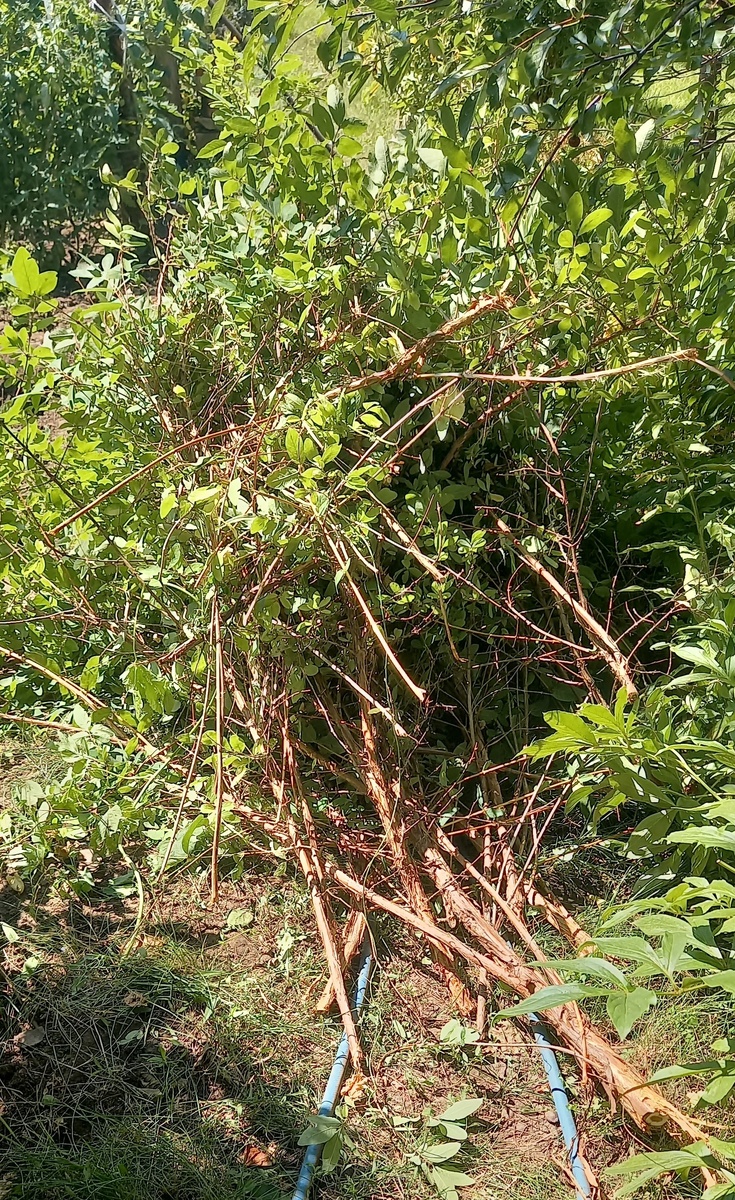 дело сделано