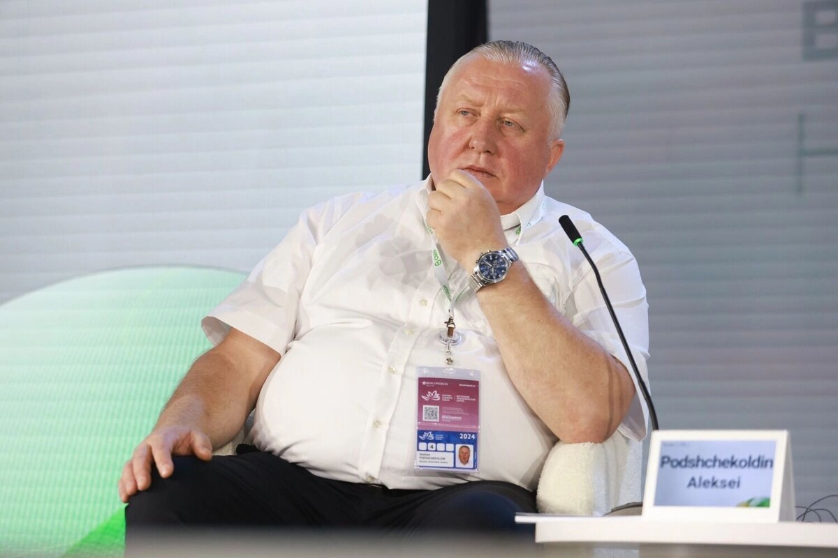 Глава РОАД Алексей Подщеколдин: с начала 2025 года в РФ закрылись 200 автосалонов. Фото: Росконгресс