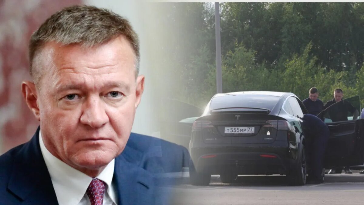    Коллаж Novorosinform