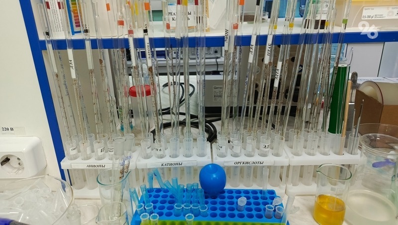      Фото: Дарья Куличенко / / ИА «Победа26»