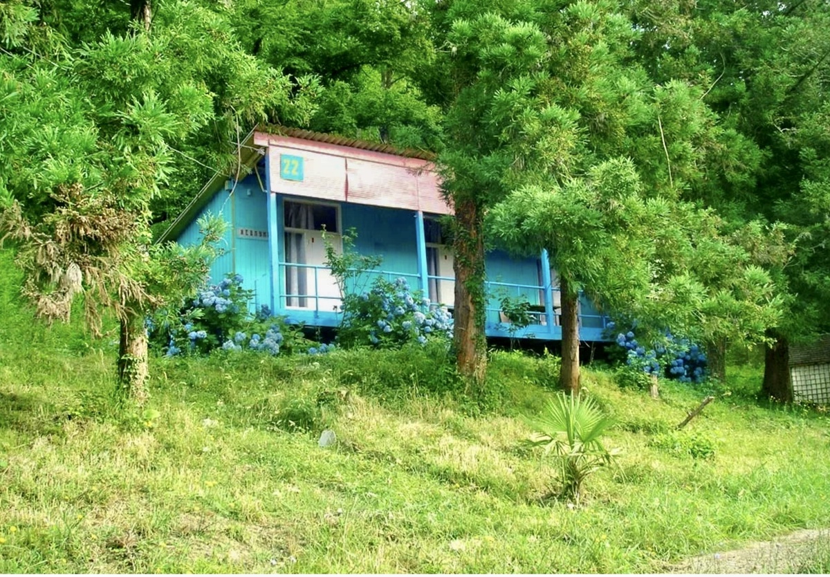 Фото взято из открытых источников.