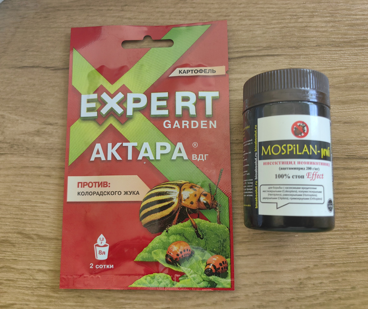 Системные препараты. Фото автора