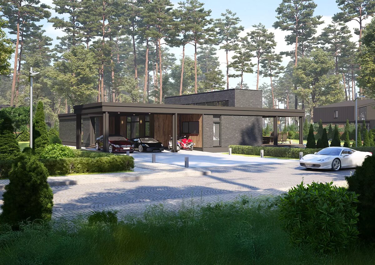 Проект дома «Эгоист-229»