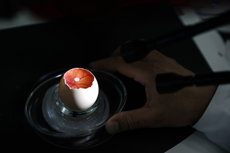    Фото: Северо-Кавказский федеральный университет