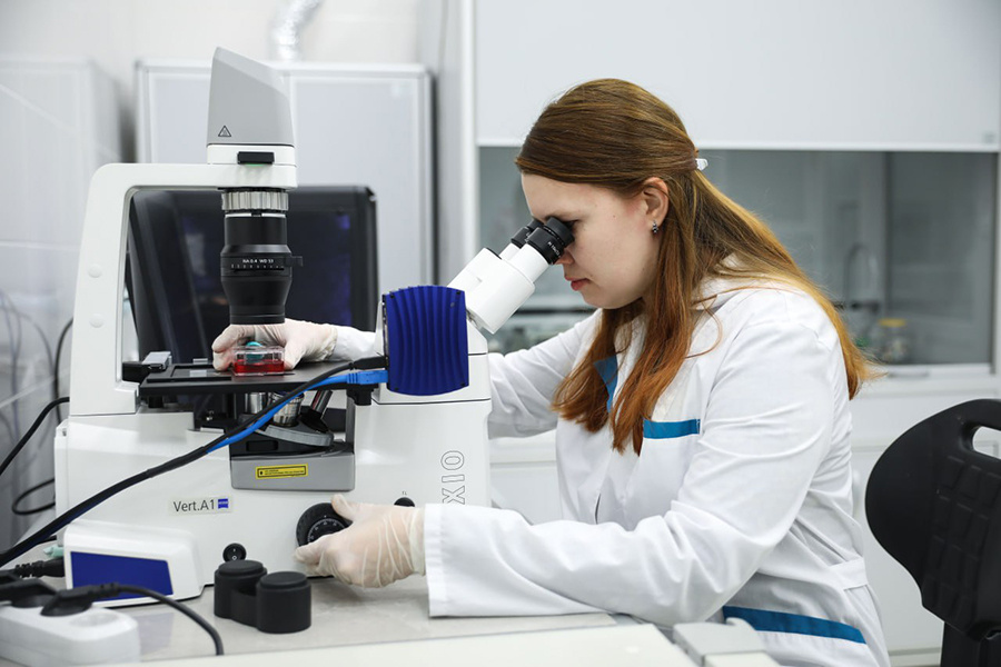    Как куриные эмбрионы стали лекарством для ран в разработке СКФУ