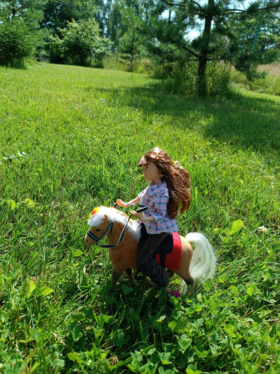 Скачи мой верный конь!