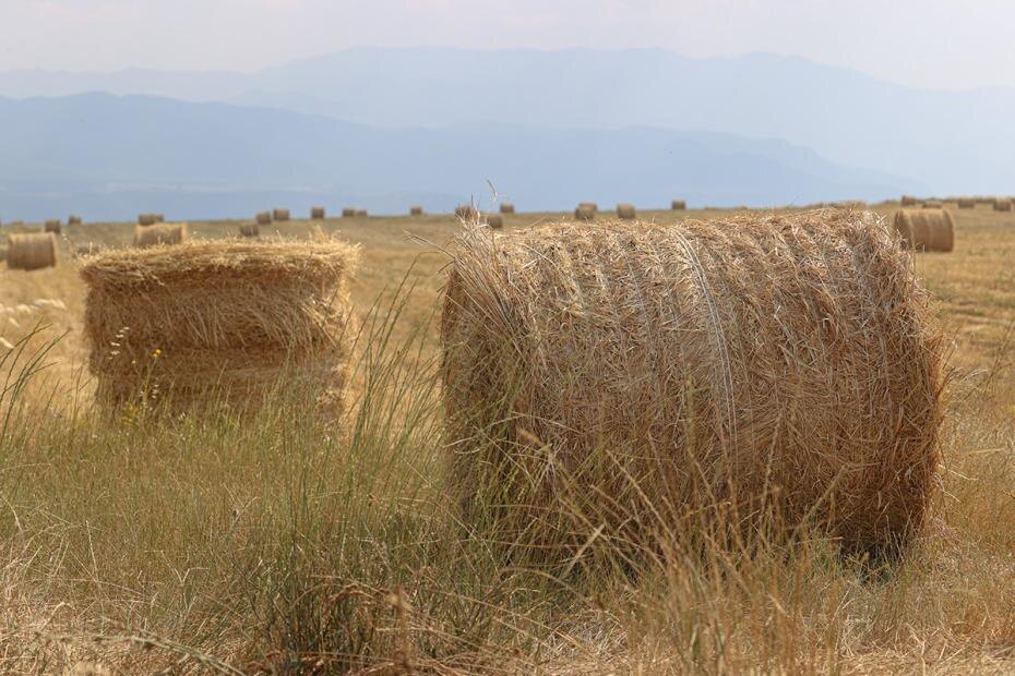    Сергей Булкин/NEWS.ru