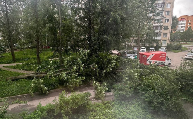    © vk.com / «Всеволожск»