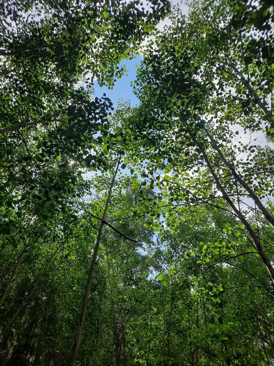 Фото автора.