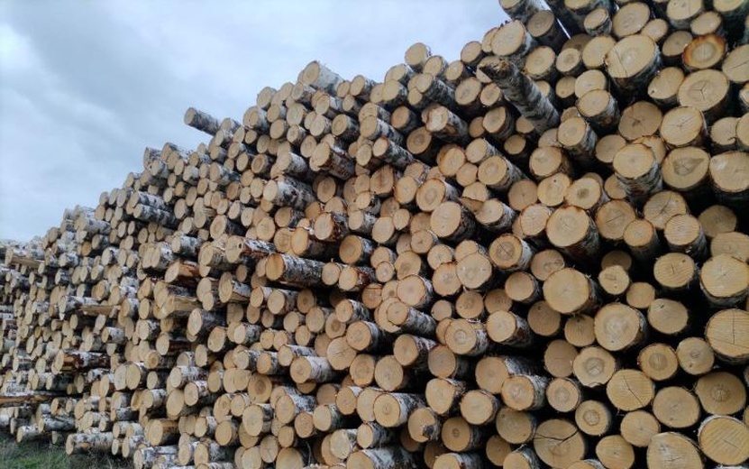    Более 7 тысяч кубометров удмуртского леса поставлено в Казахстан