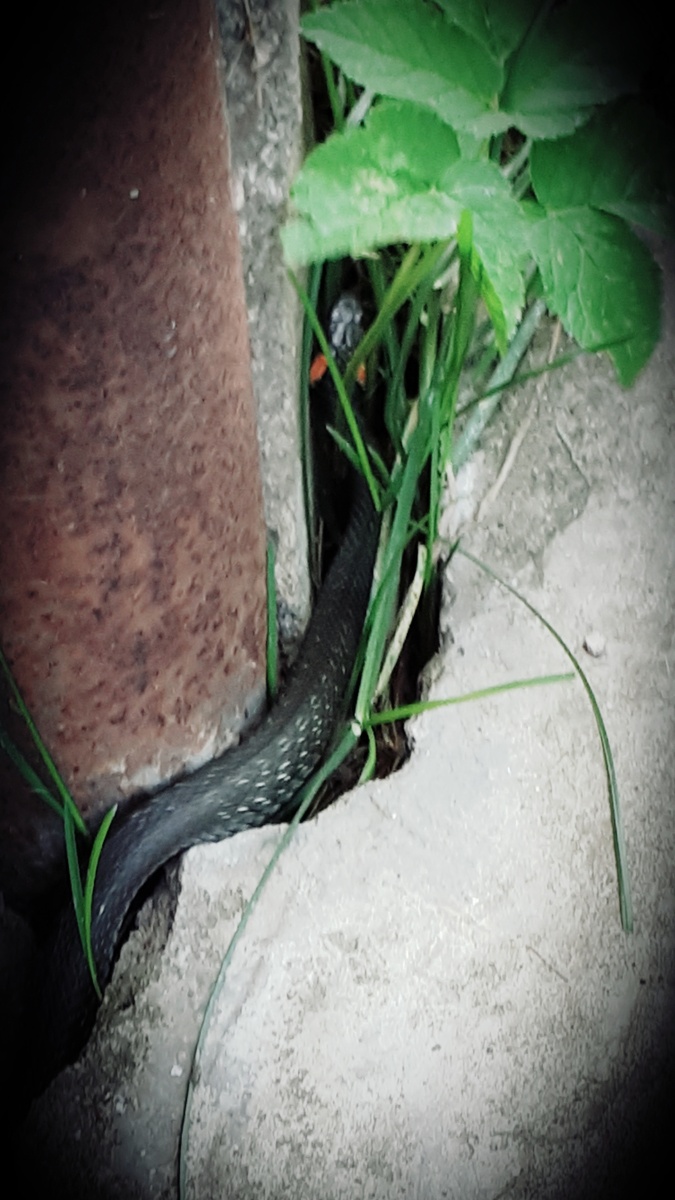 Фото автора статьи