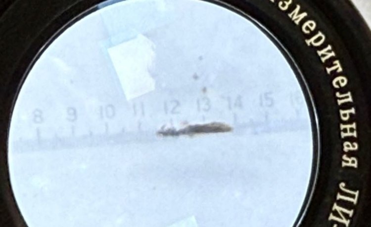    Фото: Федеральный центр охраны здоровья животных