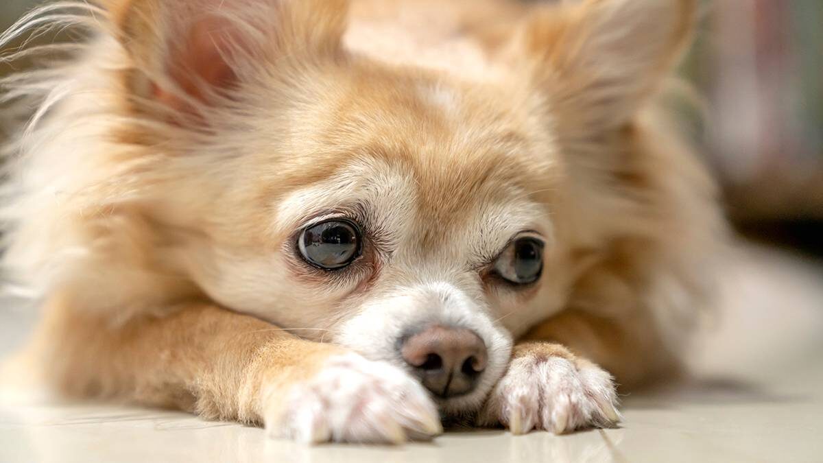    Фото: Shutterstock