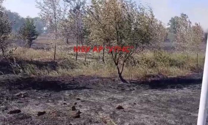 Источник фото: УПЧС Аксайского района