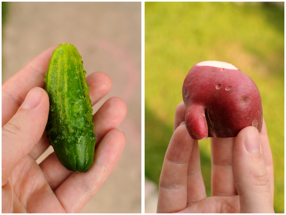 Личное фото