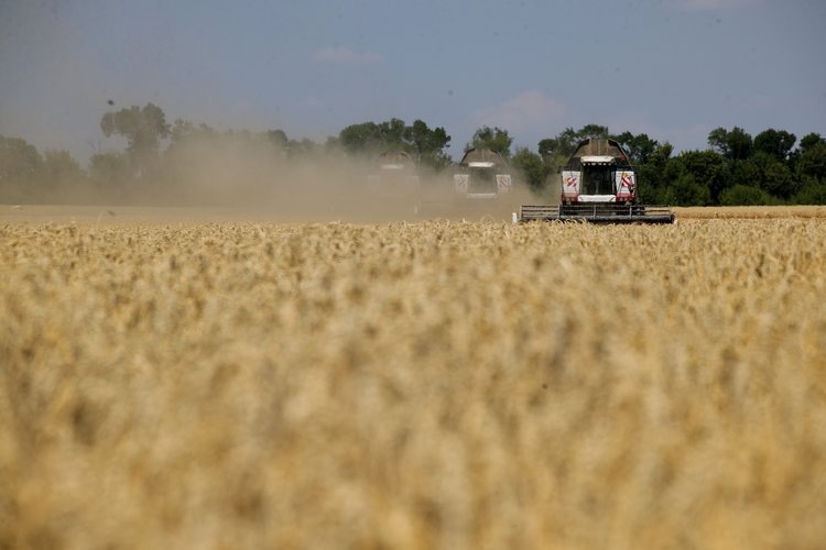    Фото: Правительство Ростовской области