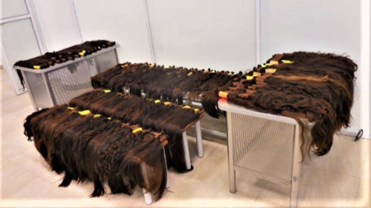    Фото: Пресс-служба ФТС РФ