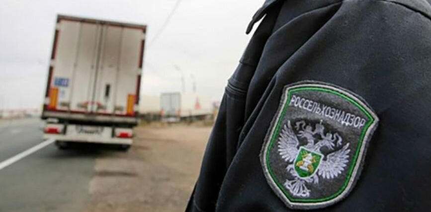 (фото из открытых источников)