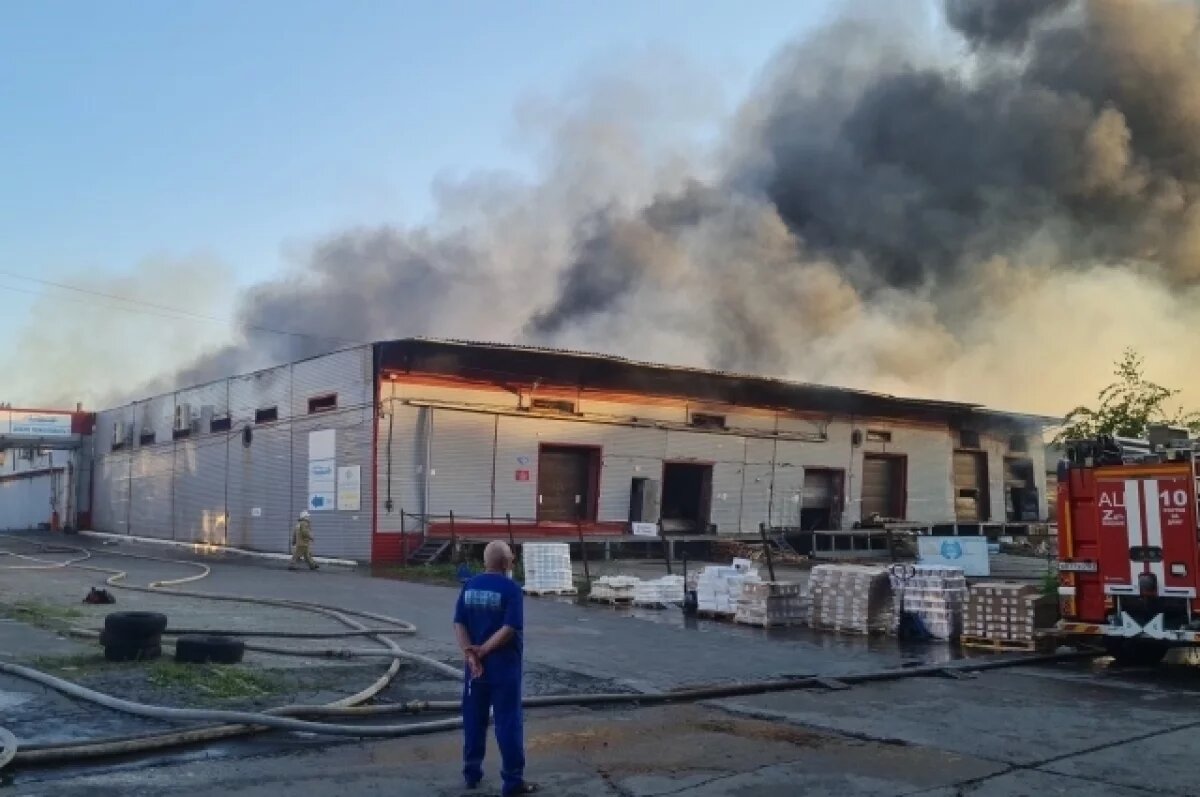    Разгорелся сыр-бор.