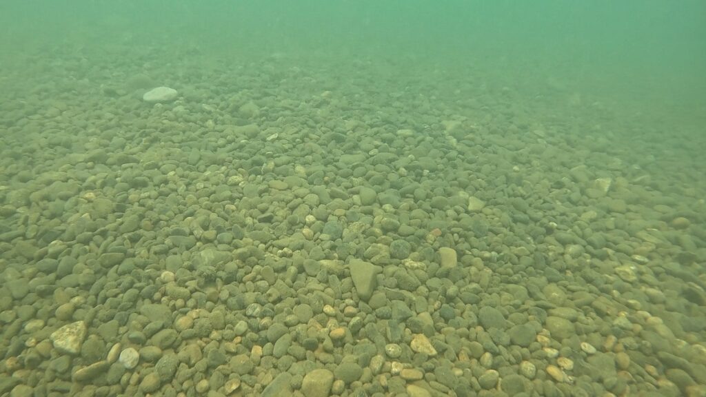    Морское дно в Сочи / Фото: sochi.ru