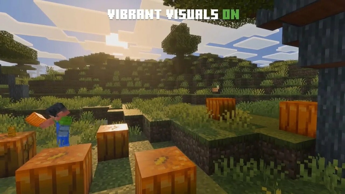 Пример включенного Vibrant Visuals