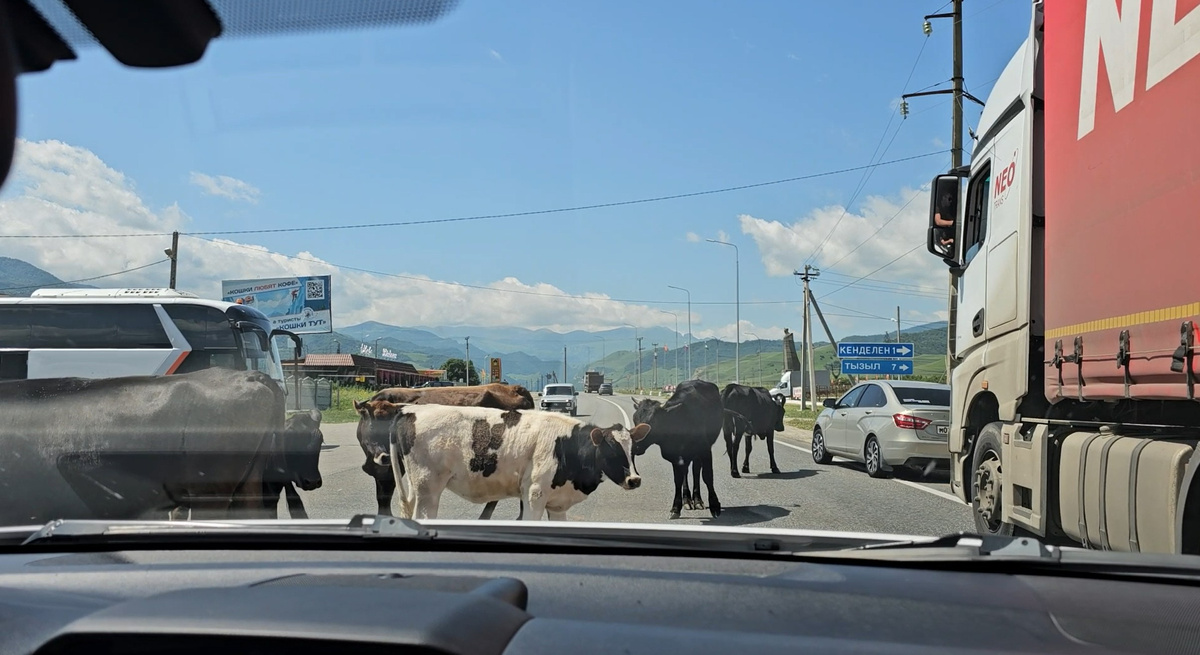 Товарищ пробка!