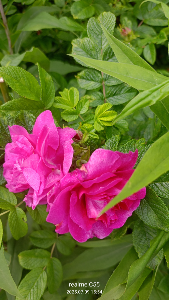 И этот яркий