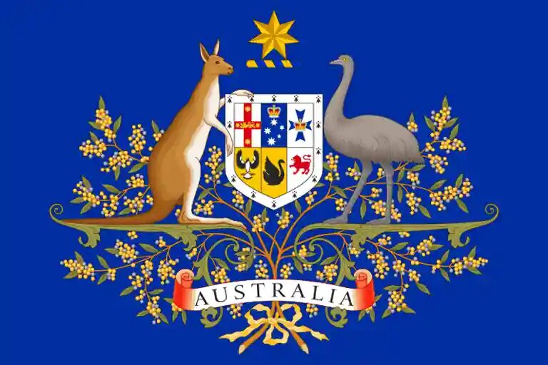    wikipedia.org Очкарик