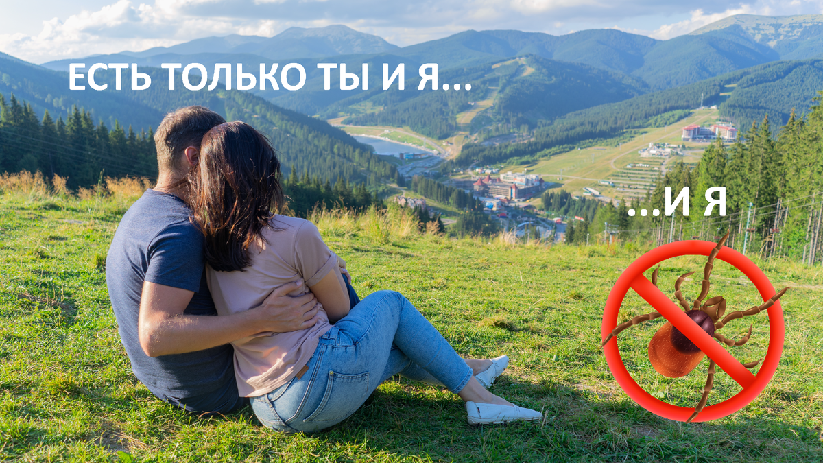 Как защититься от клещей и почему страховка может спасти ваш бюджет | фото freepik