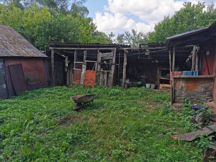 Листайте вправо, чтобы увидеть больше изображений