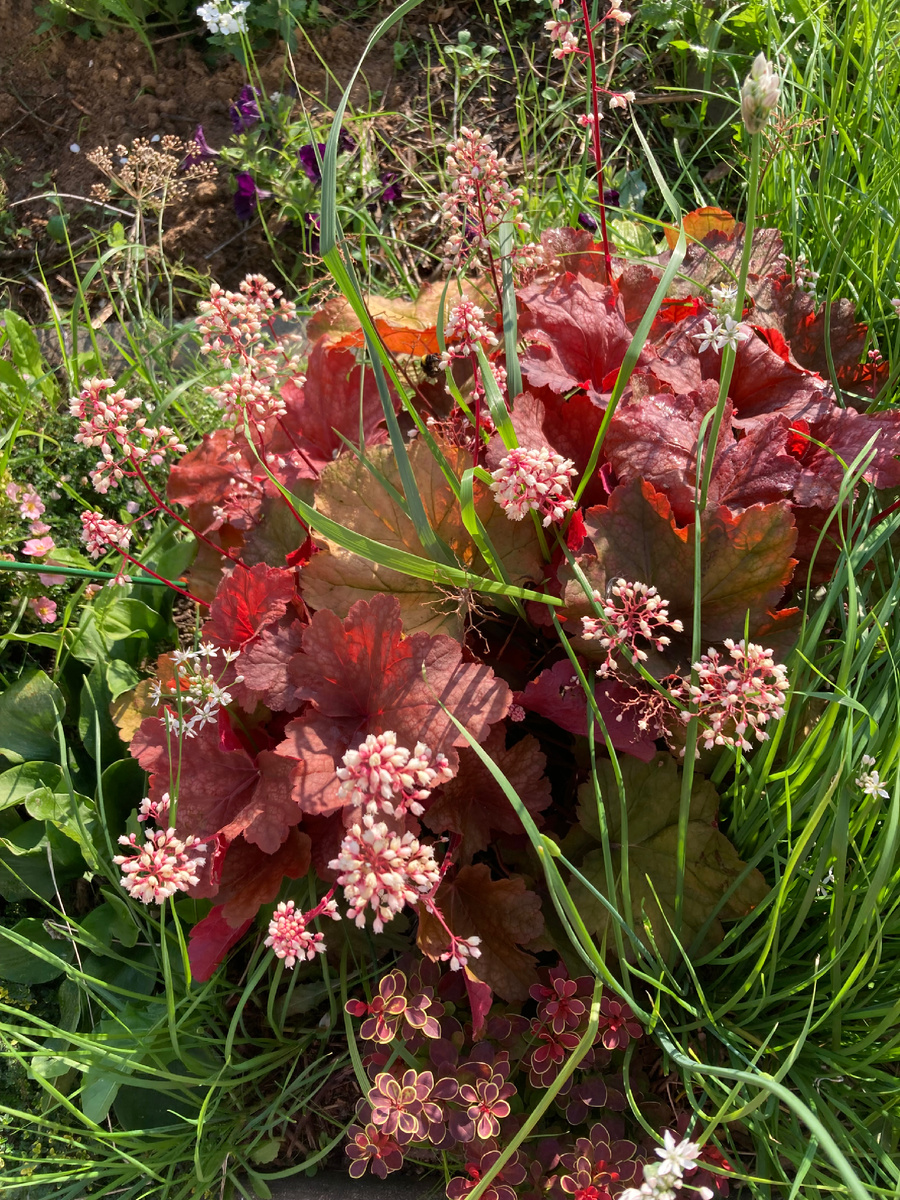 Август 2024, фото мое