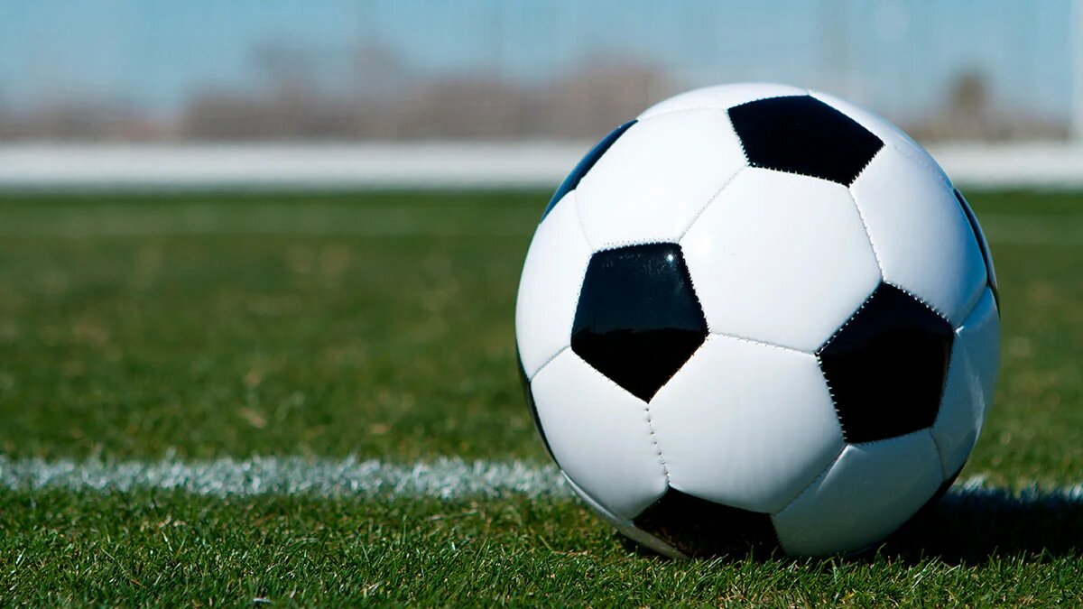 ©David Lee / Shutterstock/Fotodom