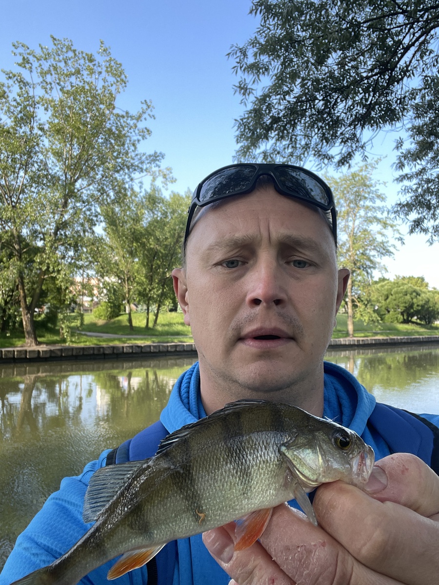 Прекрасный полосатый боец!