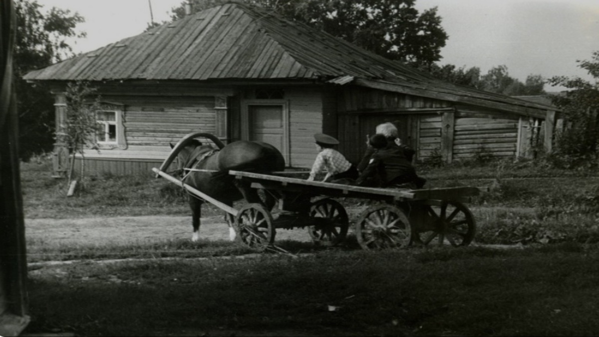 Фото из интернета