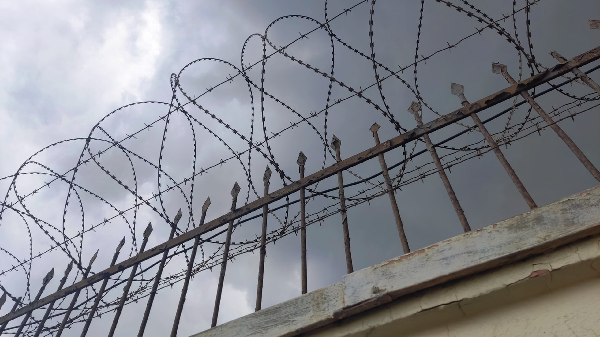 Фото: архив «МК в Калининграде»