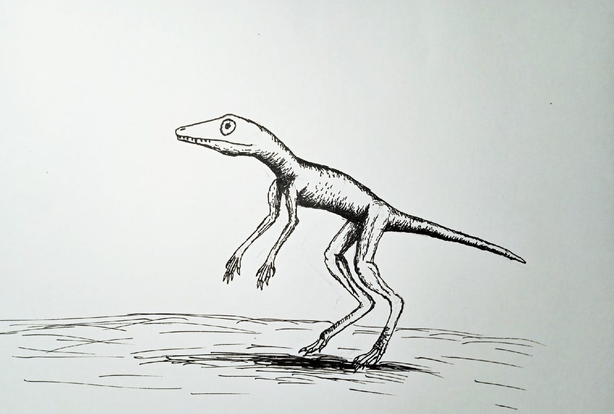 Да тебе качаться нужно, дружище.