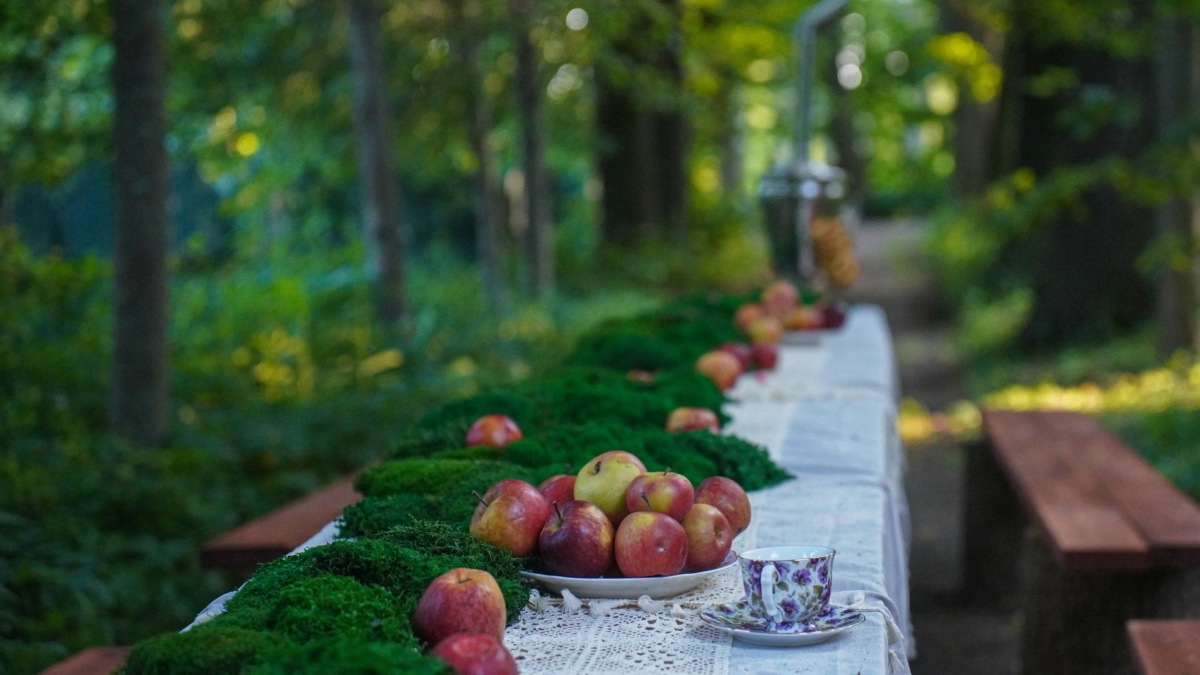 Светлана Мулыкина📷
