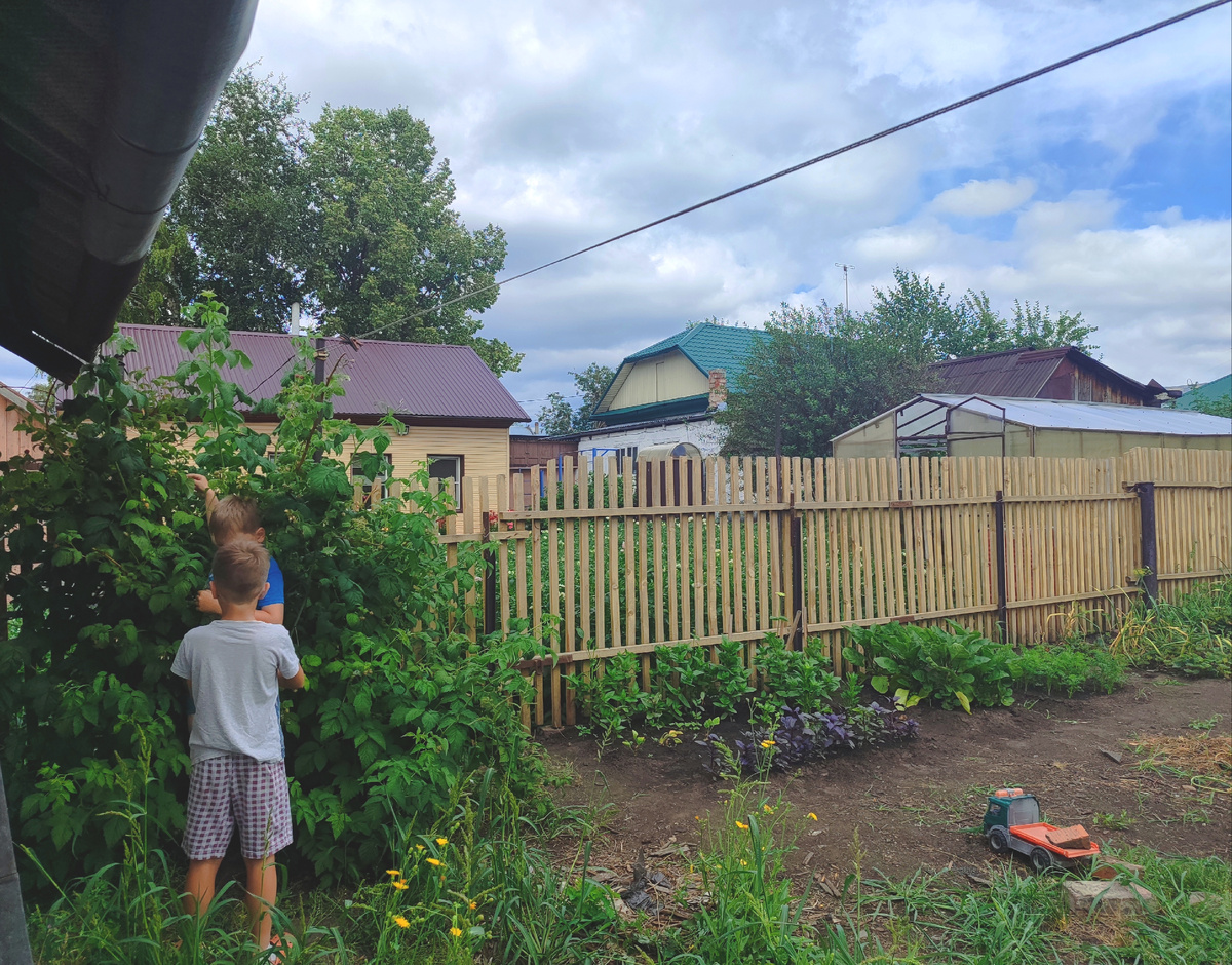 Паша и Вадим едят малину, потому что мать обед не успела приготовить. Как говорится, если мать не готовит, то огород прокормит
