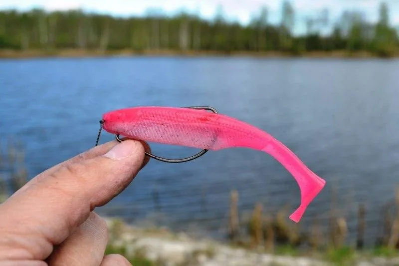 Фото с сайта: https://avatars.dzeninfra.ru