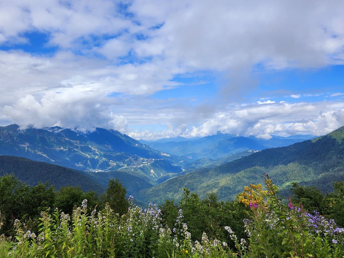 г. Сочи, долина реки Чистая
