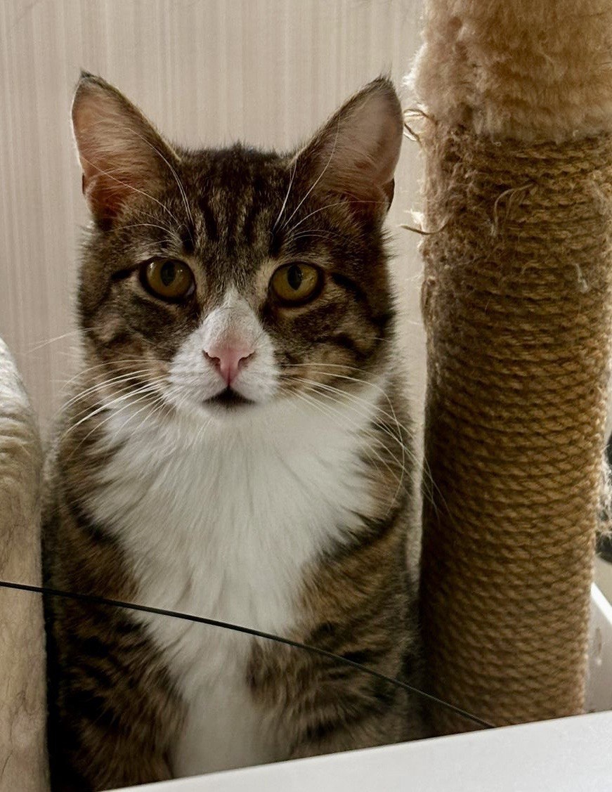 Как ты вообще выживал там на улице, малыш??