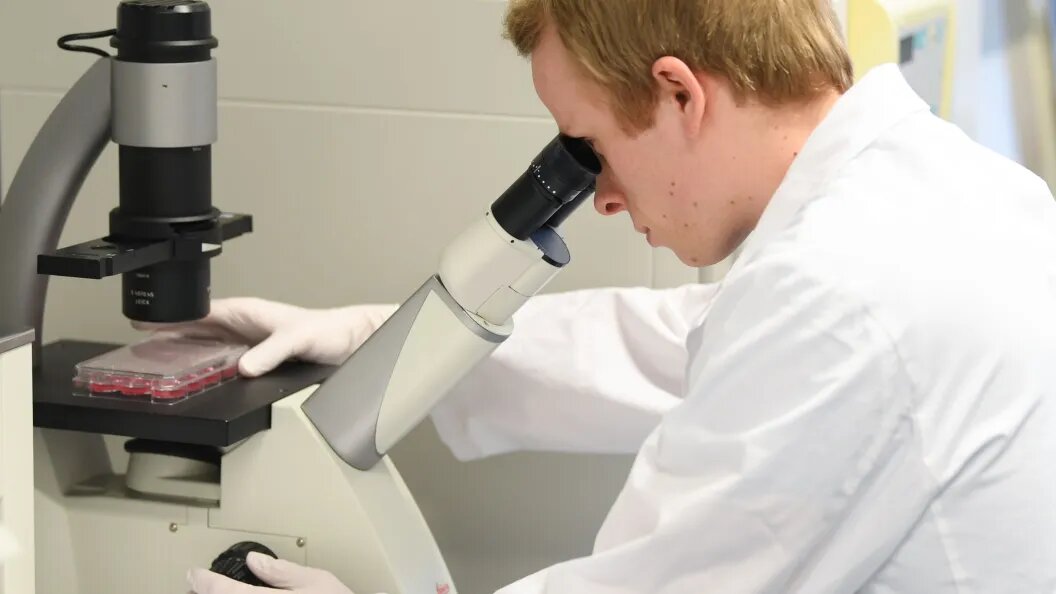    Arne Dedert/dpa/Globallookpress