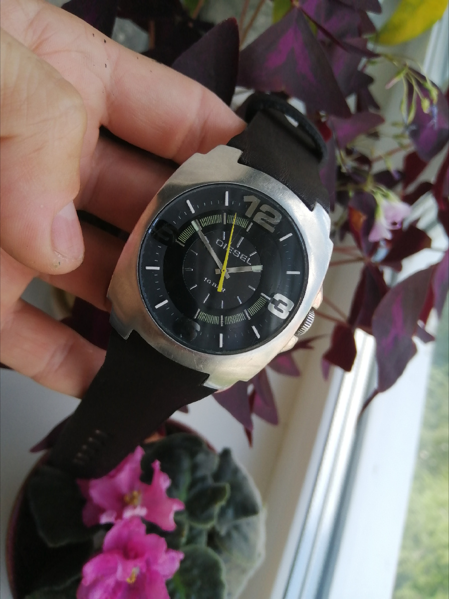 Фотографии автора 