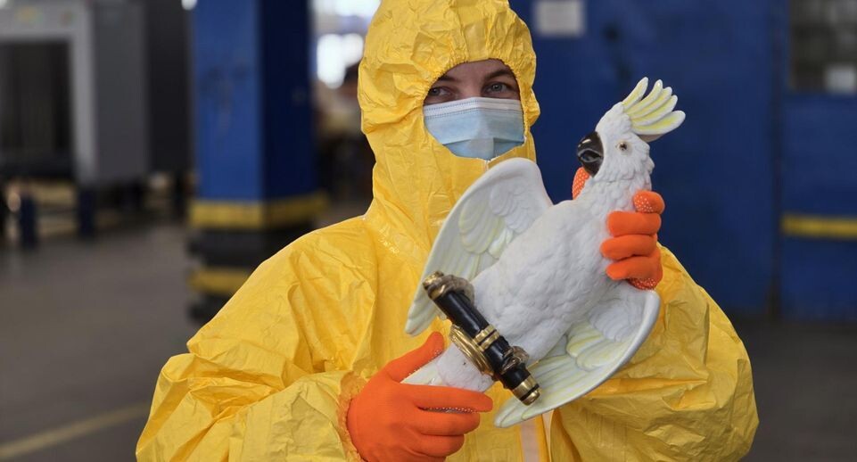    Пресс-служба ФТС России