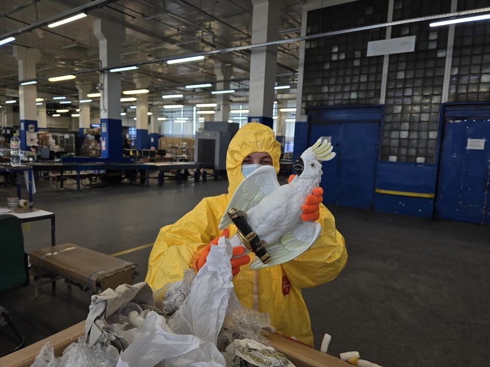     Пресс-служба ФТС России