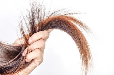 Источник: Google.картинки